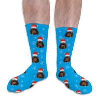 Personalised Pet Socks Santa Hat Photo Socks