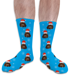 Personalised Pet Socks Santa Hat Christmas Photo Socks